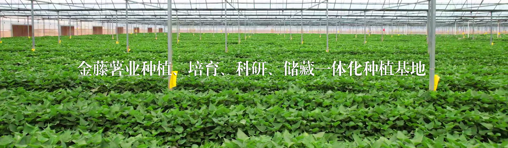 聯(lián)系我們