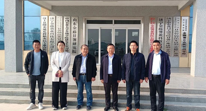 甘薯專(zhuān)委會(huì )組織甘薯苗期調研，制定苗期管理意見(jiàn)